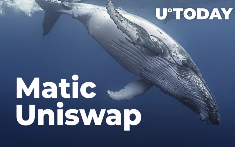 2022 02 11 21 16 24 Matic Uniswap Among Most Purchased Tokens by Whales as Market Dips - رمزارزهای Matic و Uniswap در میان بیشترین رمزارزهای خریداری شده توسط نهنگ‌ها در ۲۴ ساعت گذشته بودند