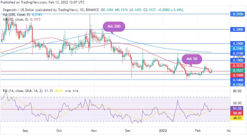 2022 02 13 19 59 22 Dogecoin Retests Historical Support Amid Accumulation by Whales  See Details - دوج کوین حمایت تاریخی خود را دوباره آزمایش می کند