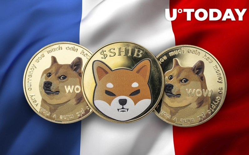 2022 02 15 18 29 01 Shiba Inu and Dogecoin Among Most Desirable Cryptocurrencies in France  Report - شیبا اینو و دوج کوین در میان مطلوب ترین ارزهای دیجیتال در فرانسه هستند