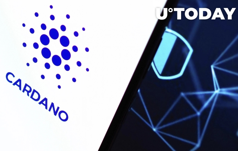 2022 02 17 17 01 54 Cardano Sees Significant Growth in On Chain Activity as New Addresses Spike 167 - رشد قابل توجه فعالیت های زنجیره ای در کاردانو