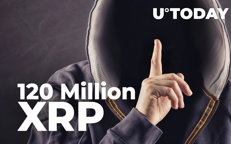 2022 02 24 18 37 51 120 Million XRP Moved by Anonymous Whale to Private Wallet  Details - 120 میلیون XRP توسط نهنگی ناشناس به یک کیف پول شخصی منتقل شد