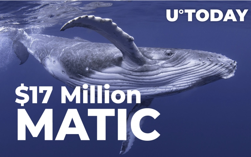 matic - نهنگهای اتریوم 17 میلیون دلار  MATIC به دست آوردند