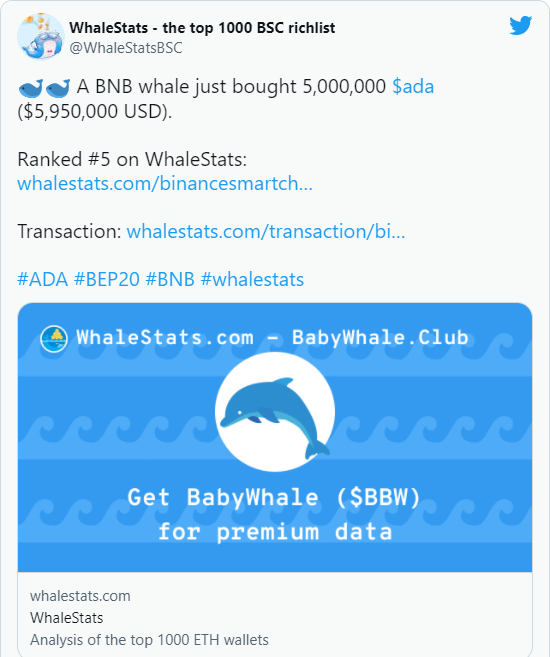 whale3 - پنج میلیون ADA توسط نهنگ برتر BNB خریداری شد