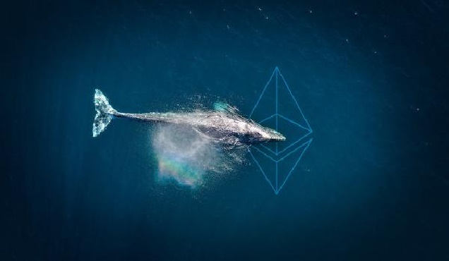 نهنگ 5 - نهنگ های اتریوم به فانتوم علاقمند شده اند!