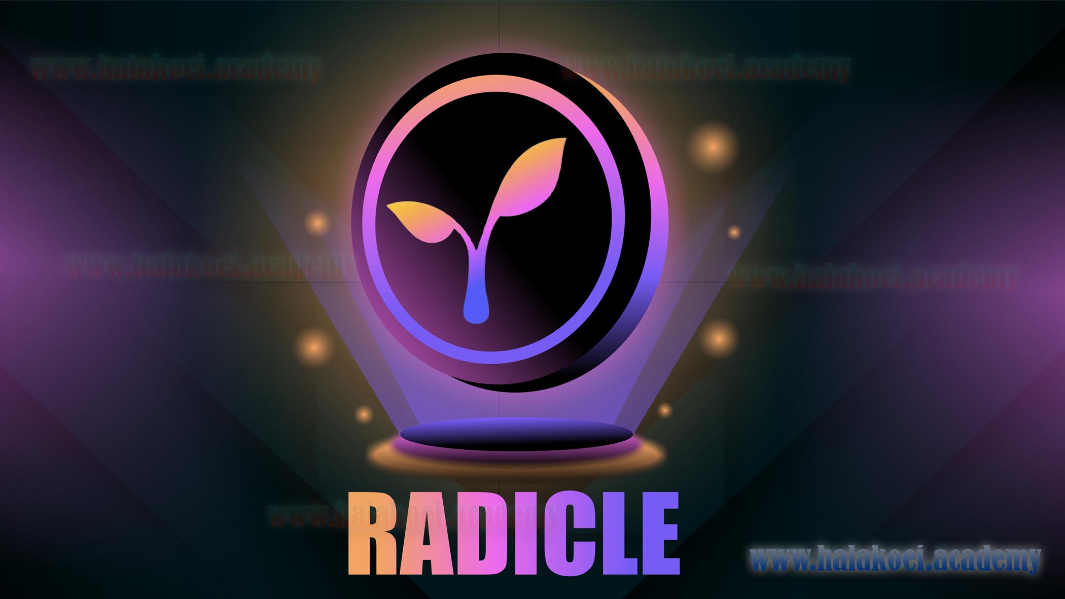 radicle