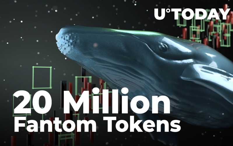 2022 03 08 16 58 56 Whales Grab 20 Million Wrapped Fantom Tokens and 1.1 Million FTM Amid Dip Buying - خرید 20 میلیون Wrapped Fantom و ۱/۱ میلیون FTM توسط نهنگ ها