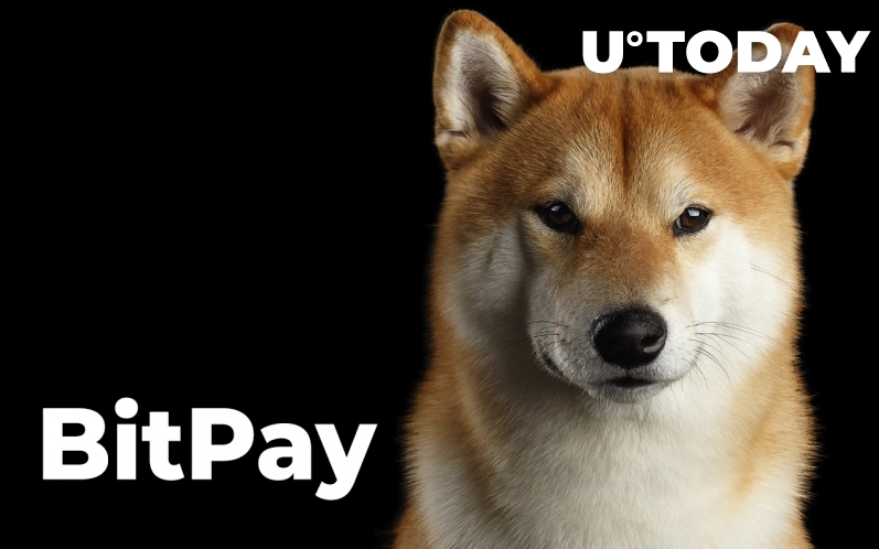 2022 03 18 17 58 23 Shiba Inu and Dogecoin Now Accepted by U.S. Based Logistics Firm in Partnership  - شیبا اینو و دوج کوین اکنون توسط یک شرکت لجستیک مستقر در ایالات متحده با مشارکت BitPay پذیرفته شده اند