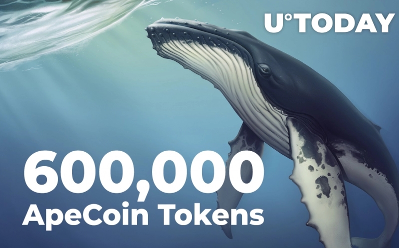 2022 03 19 20 51 57 Nearly 600000 ApeCoin Tokens Grabbed by Top Ethereum Whales  Details - نزدیک به 600،000 توکن ApeCoin توسط برترین نهنگ های اتریوم خریداری شده است