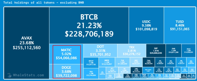 2022 03 24 21 01 09 40 Million Worth of Dogecoin Held by Top BSC Whales DOGE Loses to MATIC  Deta - 40 میلیون دلار دوج کوین توسط برترین نهنگ های BSC نگهداری می شود