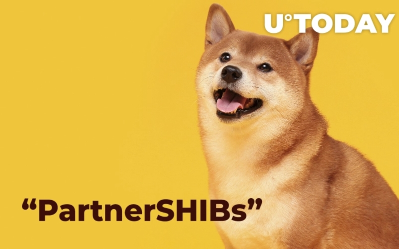 2022 03 26 18 28 34 These Direct PartnerSHIBs Will Help SHIB Army Burn More Tokens  Details - این همکاری های مستقیم به ارتش SHIB کمک می کند تا توکن های بیشتری را بسوزاند