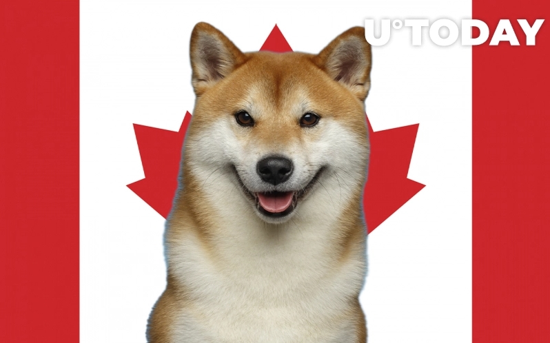 2022 03 28 19 27 27 Shiba Inu Launches on Canadas Top Crypto Trading Platform - شیبا اینو در پلتفرم برتر معاملات رمزارزی کانادا راه اندازی شد