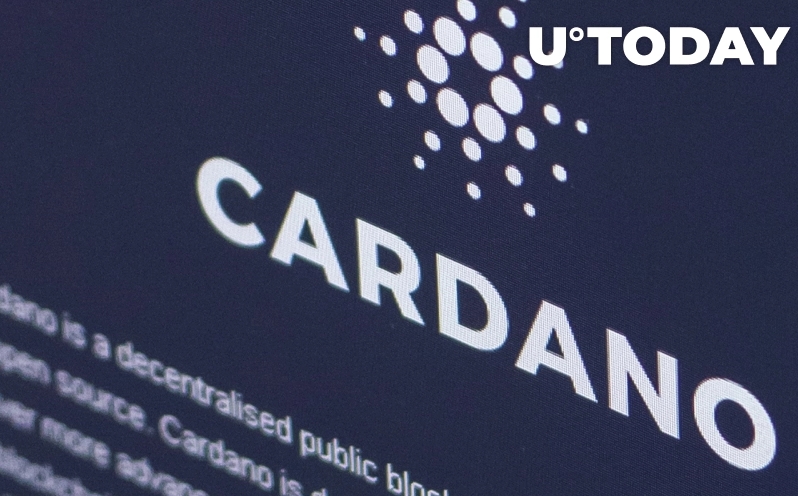 2022 03 29 18 59 03 Cardano Attracts More Institutional Investors as On Chain Transaction Volumes In - کاردانو با افزایش 50 برابری حجم تراکنش های زنجیره ای، سرمایه گذاران نهادی بیشتری را جذب می کند