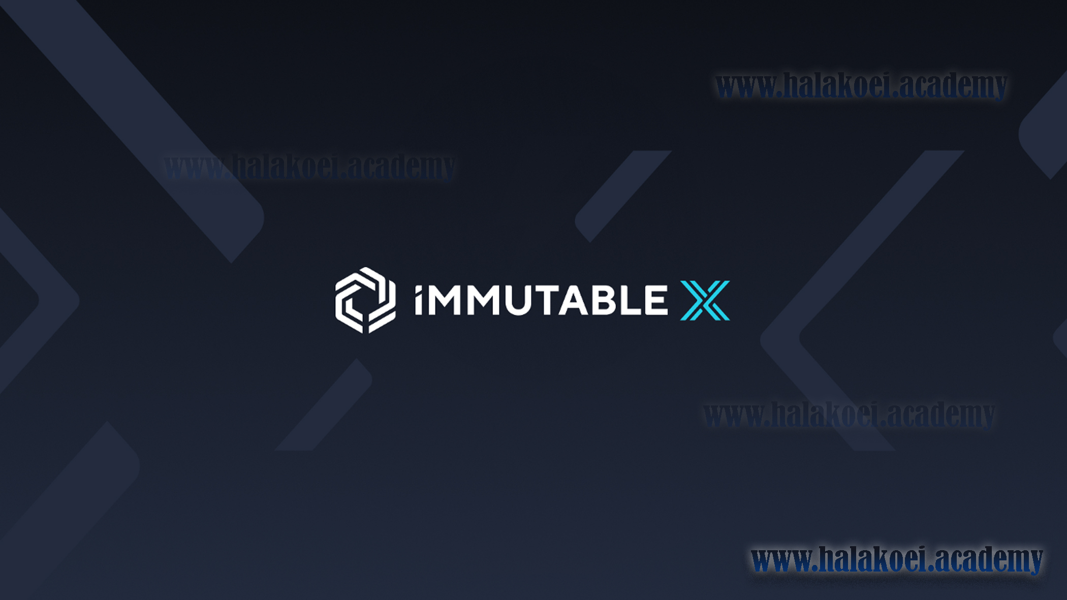 Immutable X  