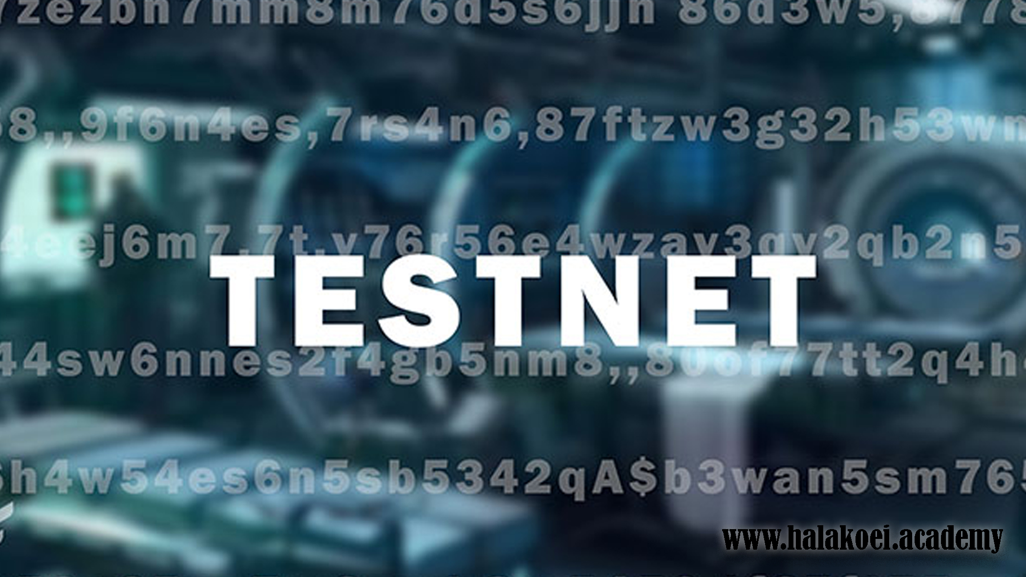 testnet