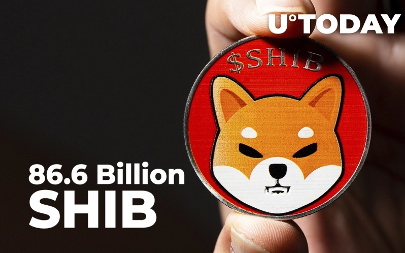 2022 04 23 16 49 38 86.6 Billion SHIB Acquired by Whale Who Grabbed Almost 2 Trillion SHIB in April - 86/6 میلیارد SHIB توسط یک نهنگ خریداری شد