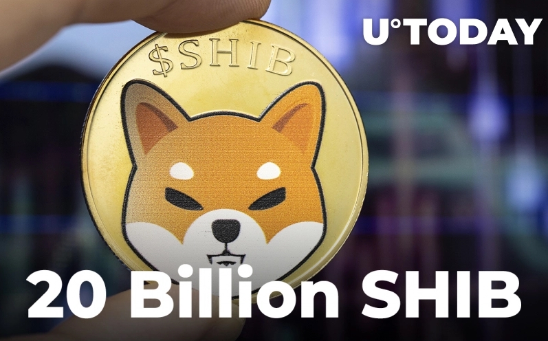 2022 04 30 19 11 29 Shiba Inu Burn Portal Records More Than 20 Billion SHIB Burned Less Than Week Af - پورتال توکن سوزی شیبا اینو بیش از 20 میلیارد SHIB را در کمتر از یک هفته پس از راه اندازی سوزانده است