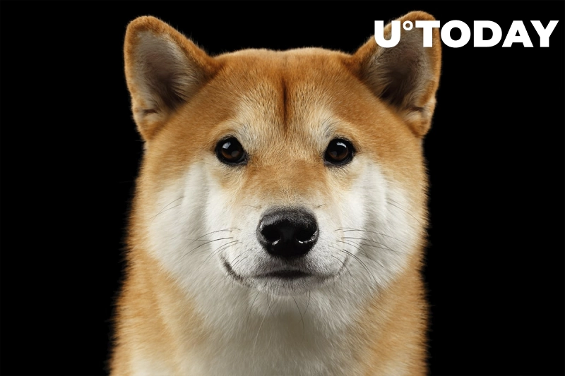 افزودن Shiba Inu به تعداد زیادی از خودپردازهای بیت کوین آو اَمِریکا Screenshot 2022 04 22 at 05 38 53 27063 0 1.webp WEBP Image 800 × 533 pixels - افزودن Shiba Inu به تعداد زیادی از خودپردازهای بیت کوین آو اَمِریکا