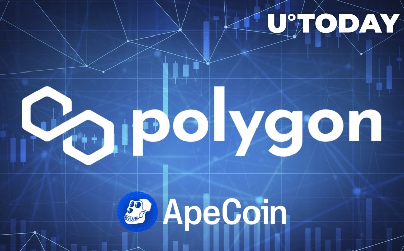 2022 05 03 17 36 13 Polygon Now Supports ApeCoin with access to 19000 dApps - پالی‌گان اکنون از ApeCoin با دسترسی به 19،000 برنامه غیرمتمرکز پشتیبانی می‌کند