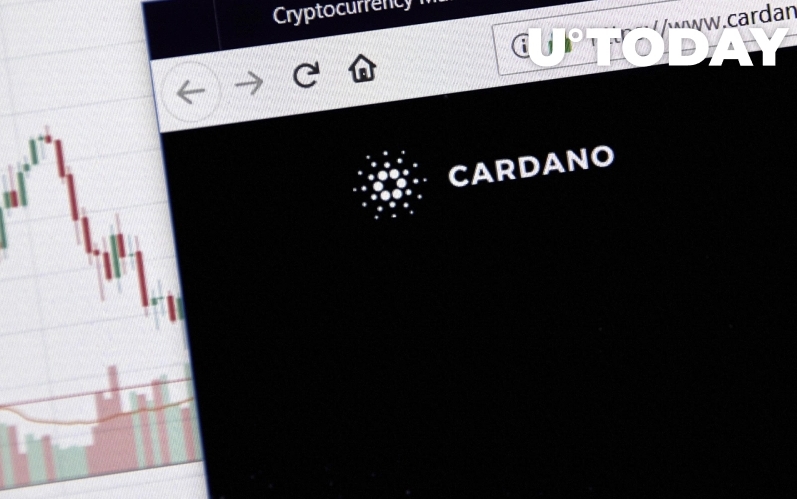 2022 05 04 18 50 05 Cardano Retail Interest Soars as Traders Balance Spikes 190 in 30 Days  IntoTh - افزایش سود معامله گران کوچک با افزایش 190 درصدی موجودی آنها در 30 روز گذشته