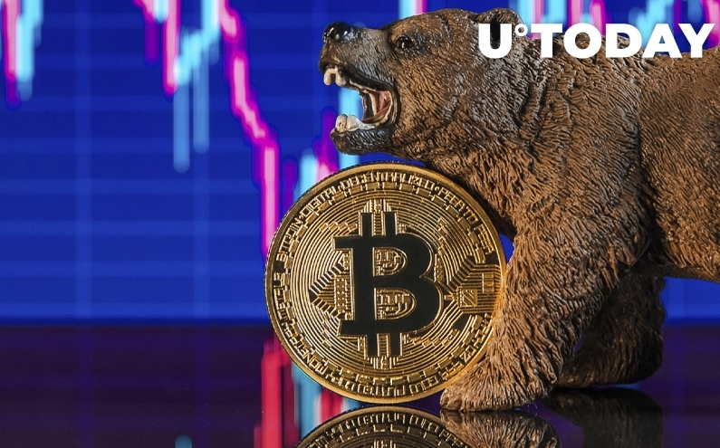 2022 05 27 23 17 55 Crypto Execs Think Bear Market Is Good for Industry - مدیران کریپتو فکر می‌کنند که بازار خرسی برای این صنعت خوب است