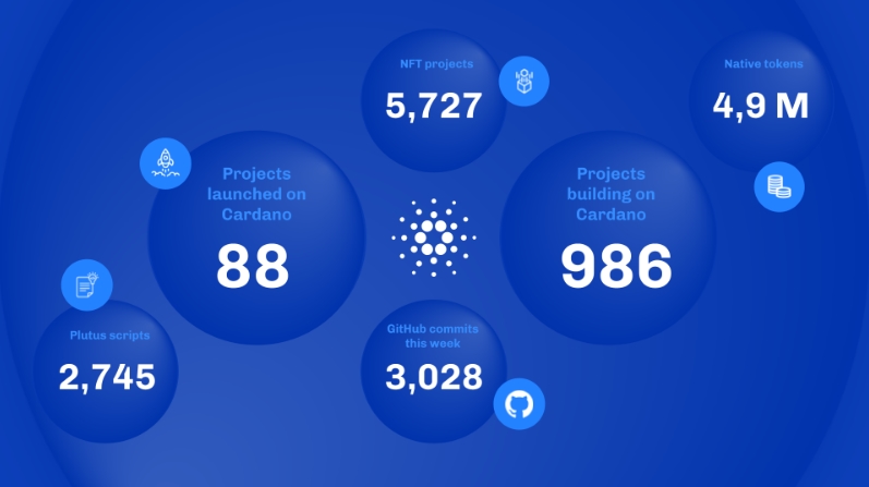 2022 05 28 21 49 11 Cardano Has Potential to Become Scarce Asset Like Bitcoin  Community - کاردانو پتانسیل تبدیل شدن به دارایی کمیابی مانند بیت کوین را دارد