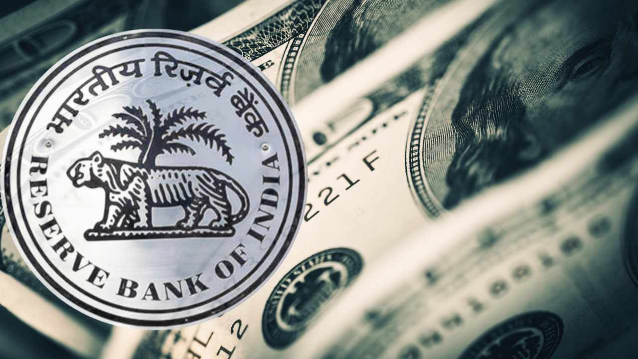 dollarization - بانک مرکزی هند اعتقاد دارد که رمزارزها می توانند منجر به دلاری شدن اقتصاد شوند