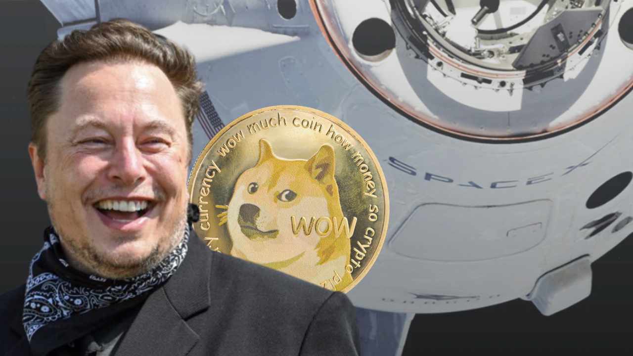 musk spacex - اعلام پذیرش دوج کوین توسط تسلا و اسپیس ایکس باعث رشد این میم کوین شد