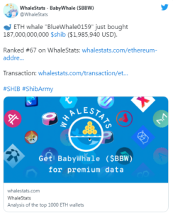 00 Edge ETH Whale 244x300 - نهنگ اتریوم، تیم فوتبال برزیلی و Edge، در حال ایجاد ترند برای SHIB