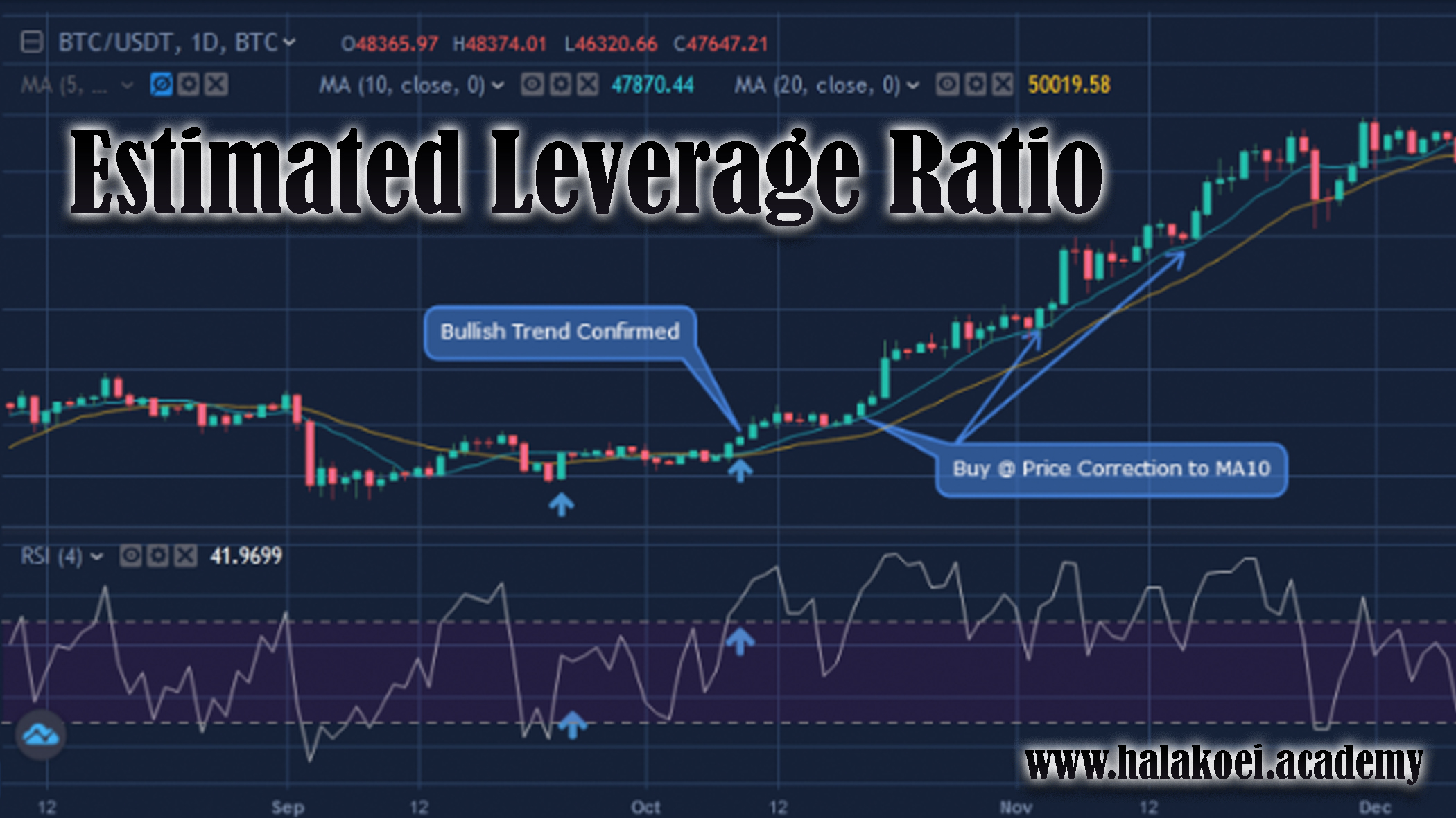 Estimated Leverage Ratio