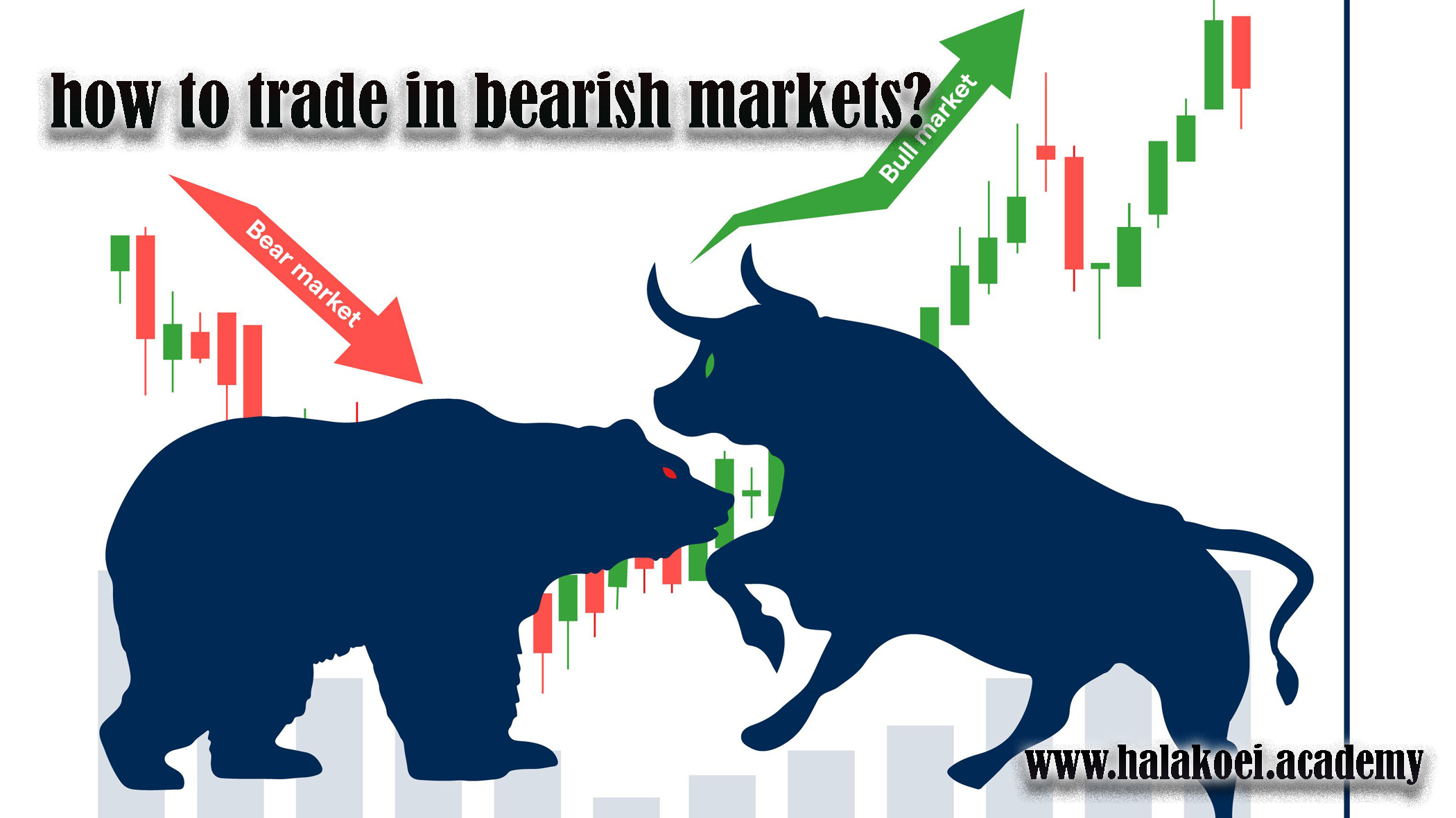 ?how to trade in bearish markets