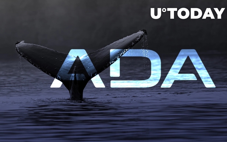 2022 06 04 17 41 04 ADA Goes Up As Whales Start Accumulating on The Dip - رشد قیمت ADA با شروع جمع آوری نهنگ ها