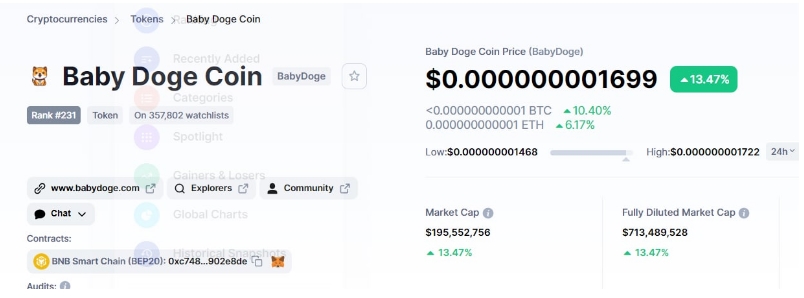 2022 06 25 18 27 55 BabyDoge Pumps 13.5 as Community Burns 2 Quadrillion Coins - پامپ ۱۳/۵ درصدی BabyDoge پس از توکن سوزی