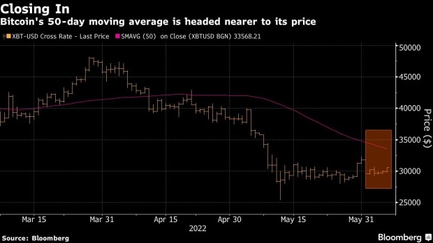 screenshot www.bnnbloomberg.ca 2022.06.06 09 14 37 - رشد بیت کوین به بالای سطح 30,000 دلاری