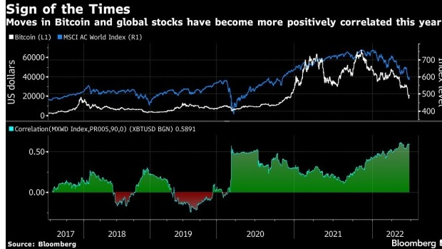 screenshot www.bnnbloomberg.ca 2022.06.22 19 00 22 - مارک موبیوس: بیت‌کوین ، برجسته ترین شاخص نشان دهنده کف بازار سهام است