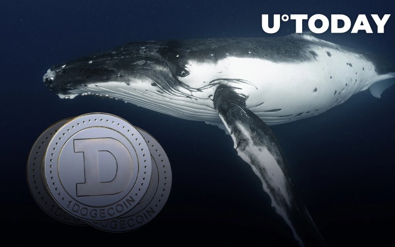 نهنگ دوج - با رسیدن قیمت DOGE به یک حمایت تاریخی، یک نهنگ 400 میلیون واحد از این ارز خریداری کرد