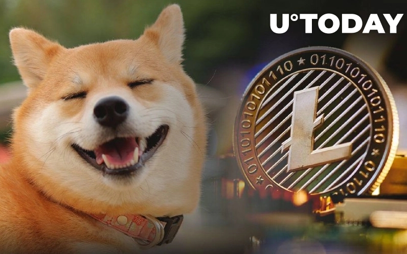 2022 07 17 18 19 53 Shiba Inu Major Developer Trolls LTC Litecoin Responds - تمسخر LTC توسط توسعه‌دهنده شیبا اینو و پاسخ لایت کوین