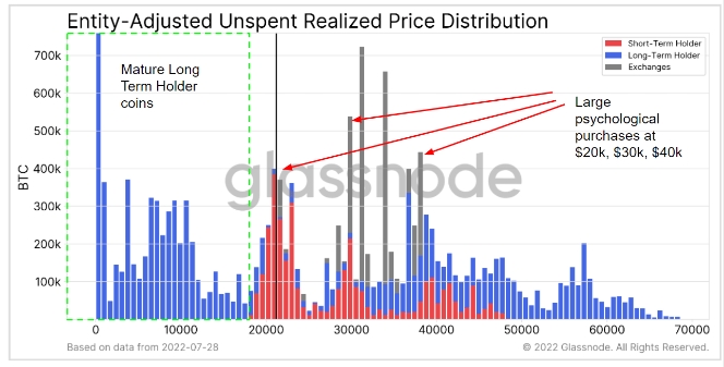 2022 07 30 19 25 08 How short term Bitcoin holders invest differently to long term holders according - سرمایه‌گذاری متفاوت هولدرهای کوتاه‌مدت بیت کوین نسبت به هولدرهای بلندمدت