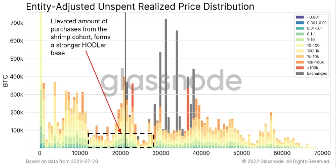 2022 07 30 19 25 52 How short term Bitcoin holders invest differently to long term holders according - سرمایه‌گذاری متفاوت هولدرهای کوتاه‌مدت بیت کوین نسبت به هولدرهای بلندمدت