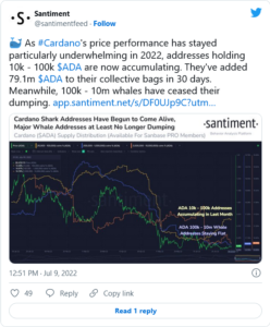 Screenshot 2022 07 09 at 16 58 30 79.1 Million ADA Bought by These Investors While Bigger Whales Stop Dumping Cardano 248x300 - نهنگ های کاردانو اقدام به خرید بیشتر می کنند