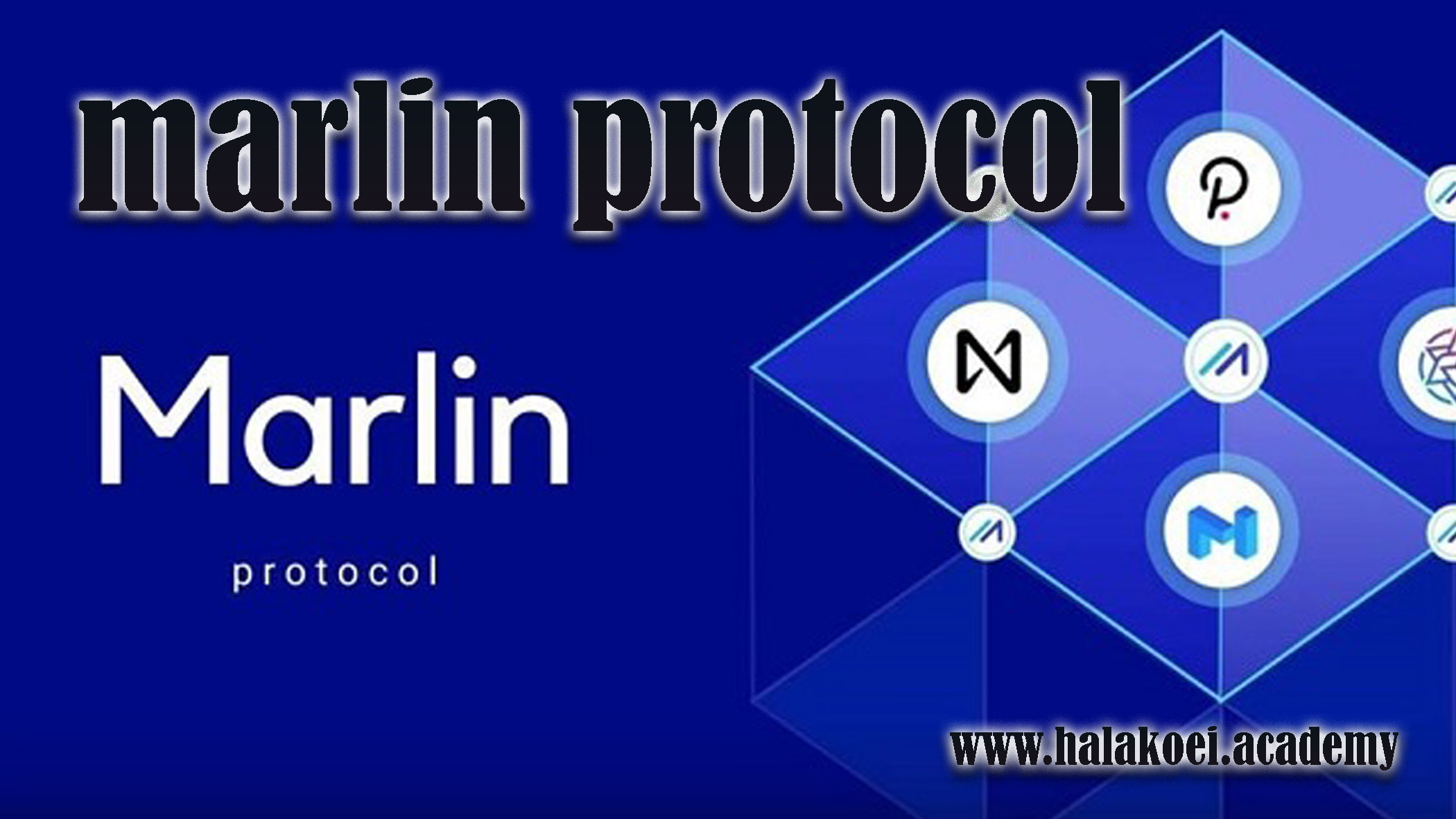 marlin-protocol