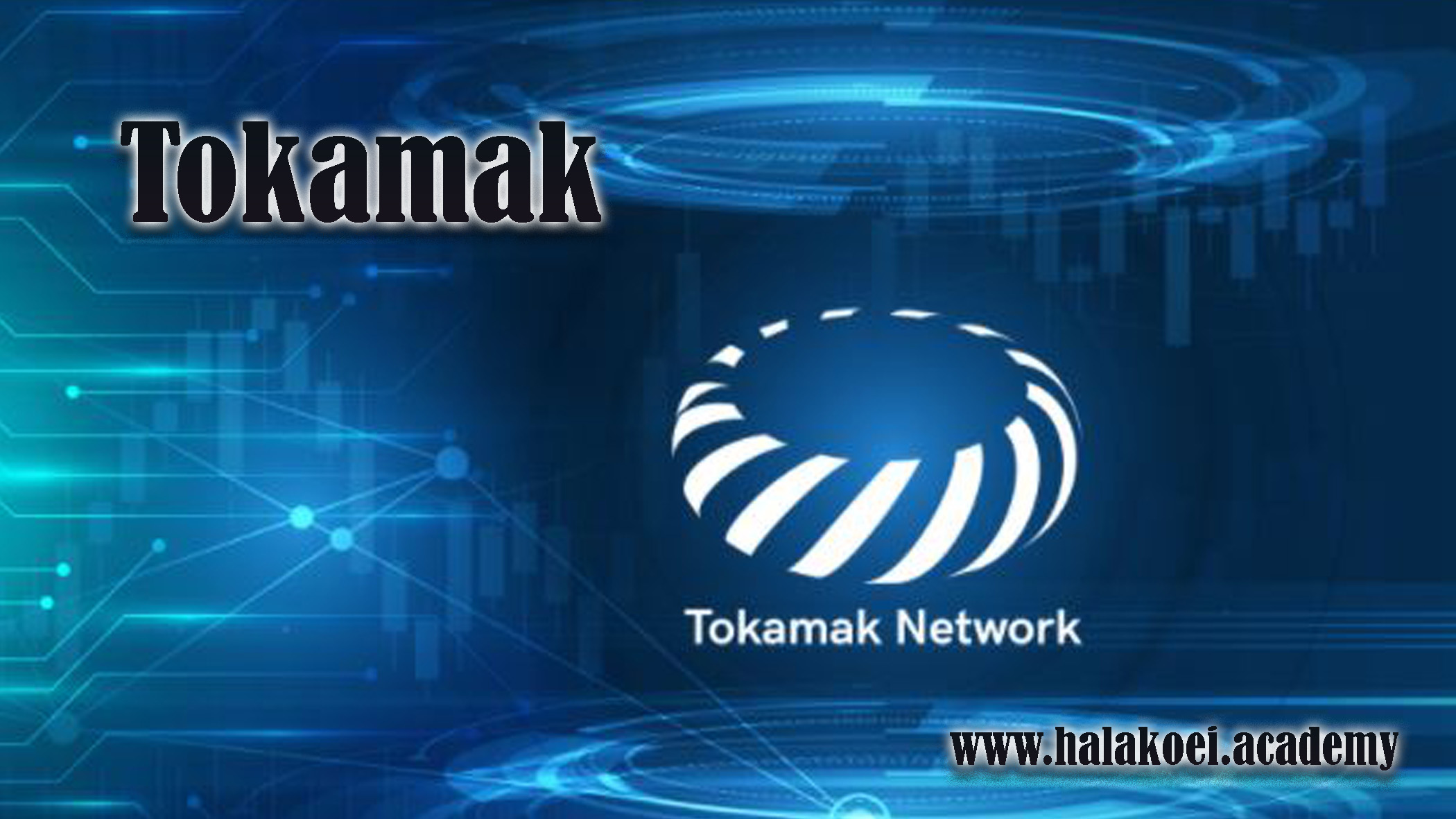 Tokamak