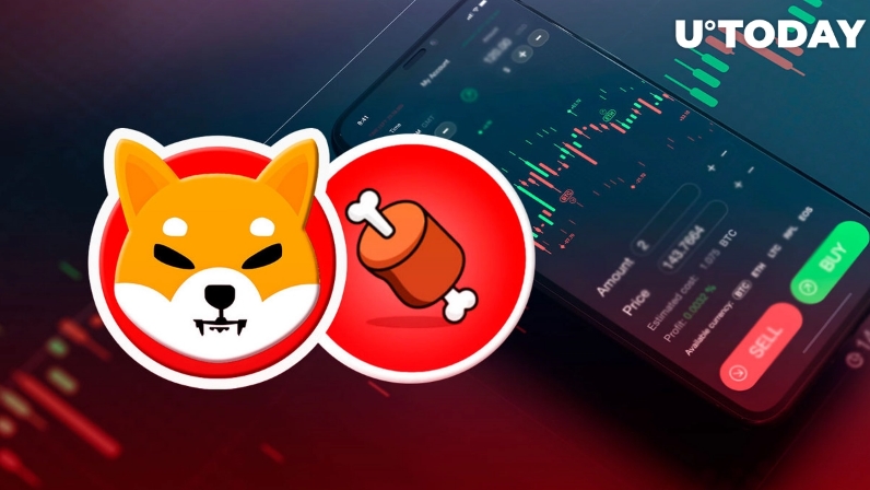 2022 08 29 19 33 24 Shiba Inus BONE Now Listed on This Crypto Exchange  Details - توکن BONE اکنون در صرافی BlueBit.io لیست شده است