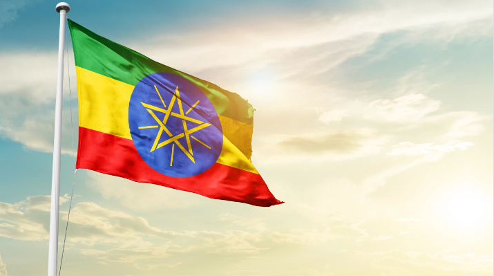 3 - ثبت و اعطای مجوز به ارائه دهندگان خدمات رمزارزی در اتیوپی توسط INSA