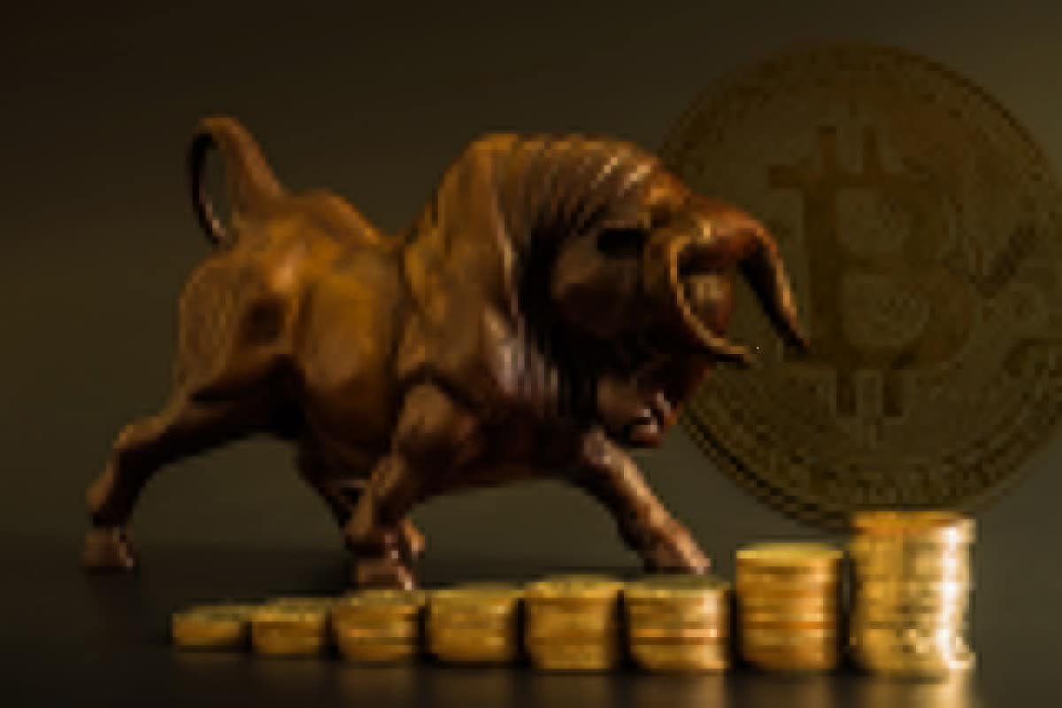 Bitcoin bull - آیا بیت کوین می تواند پس از  بیانات آقای پاول بازیابی شود؟