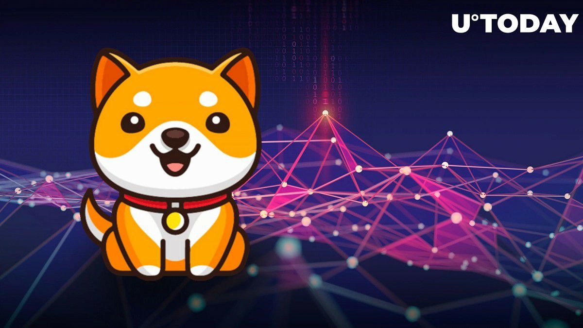 IMG 20220810 140358 868 - شبکه آزمایشی BabyDoge Swap هفته آینده راه اندازی می شود