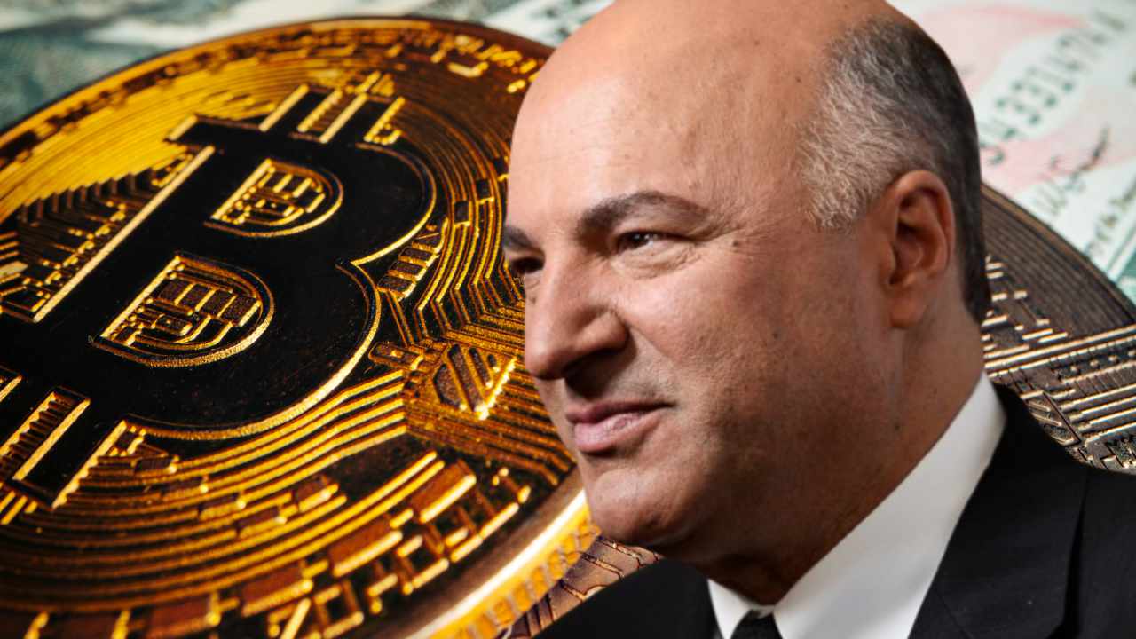 kevin oleary buys the dip - کوین اولری می گوید رمزارزها به شدت به قانون گذاری نیاز دارند