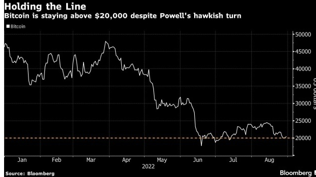 screenshot www.bnnbloomberg.ca 2022.08.30 18 33 00 - بیت کوین ممکن است پس از سخنرانی آقای پاول به کف قیمتی خود رسیده باشد