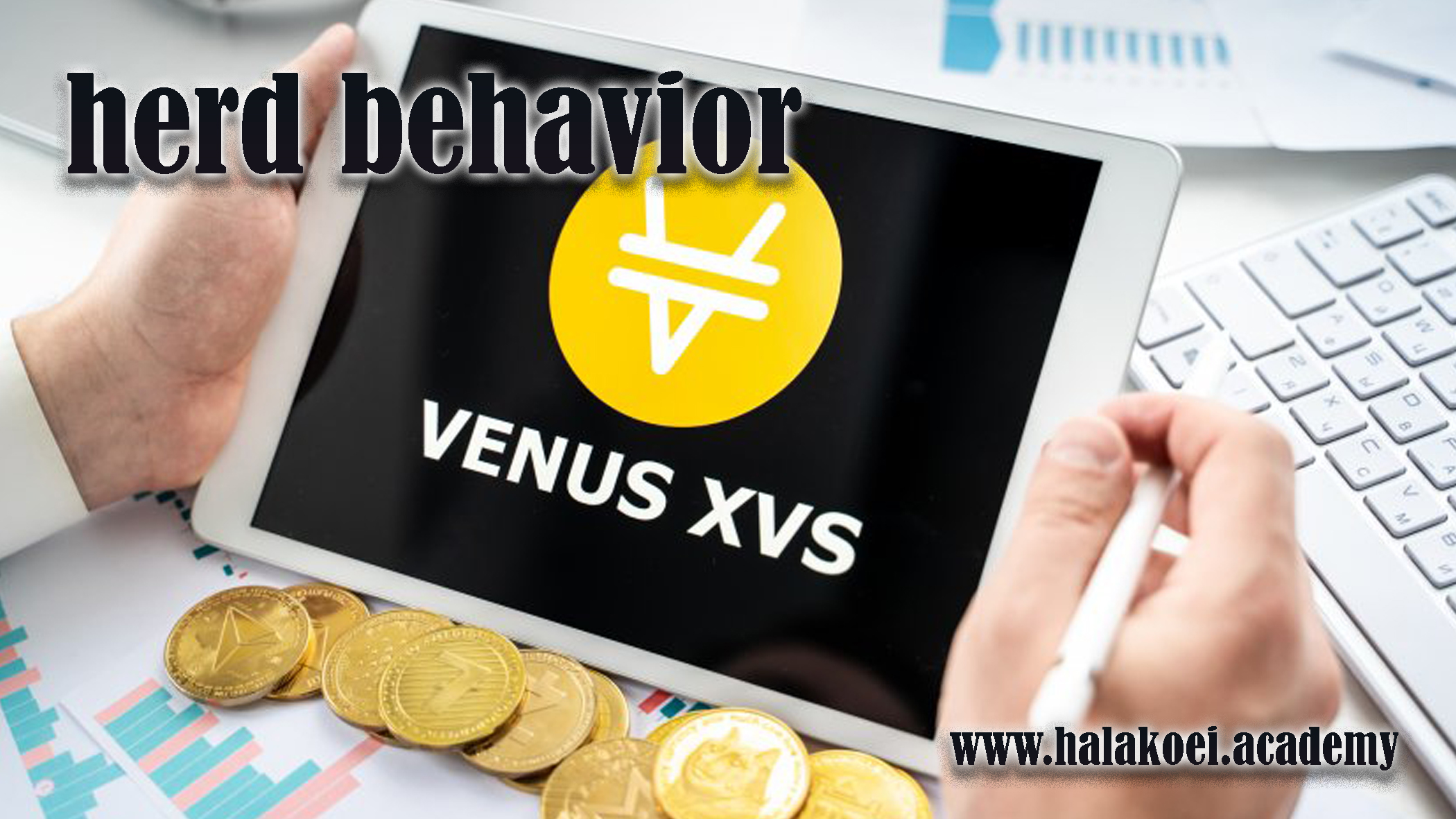 xvs-crypto-currency