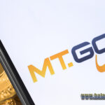 Mt. Gox