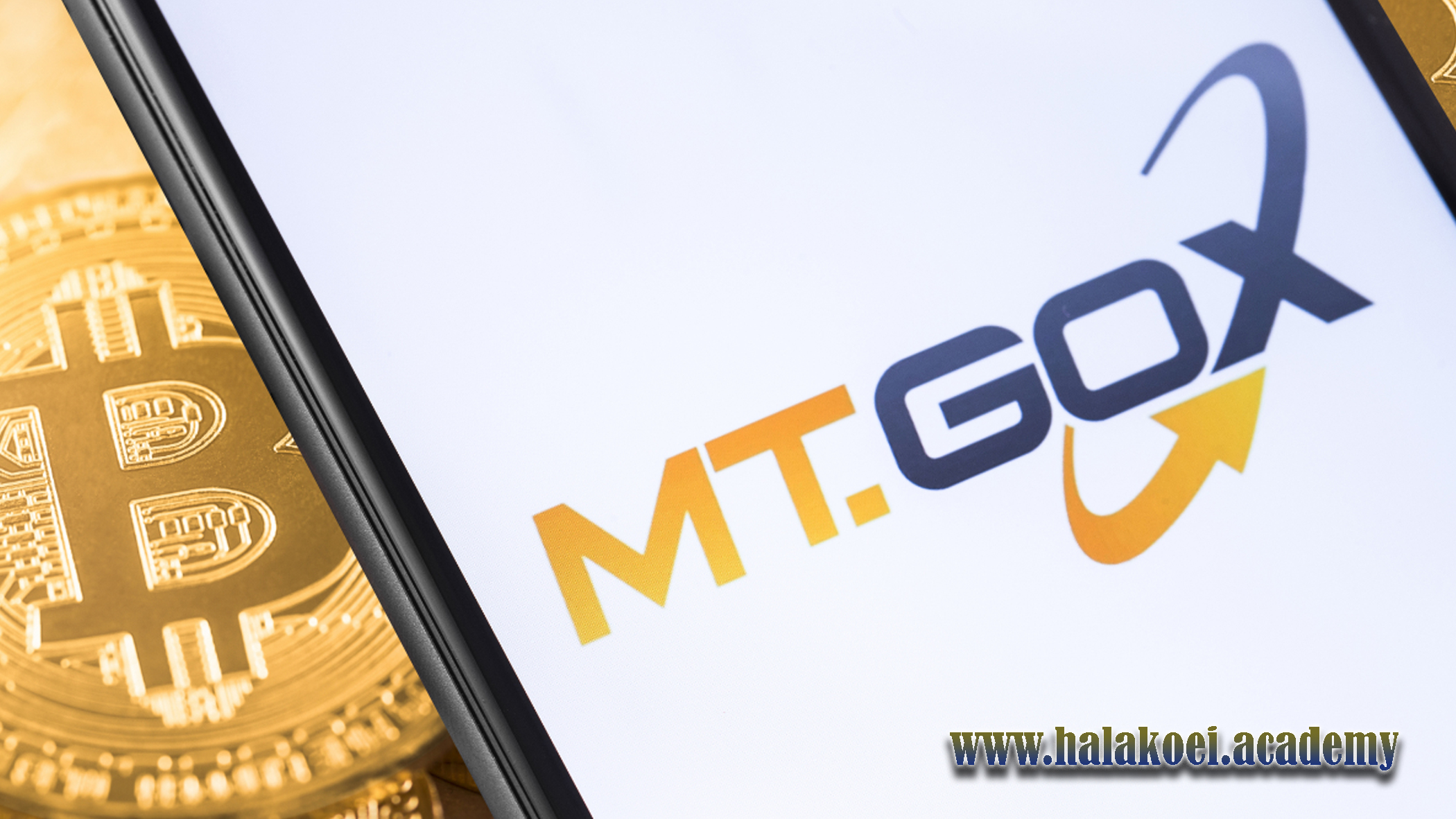 Mt. Gox